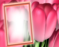 рамка фотошоп тюльпаны