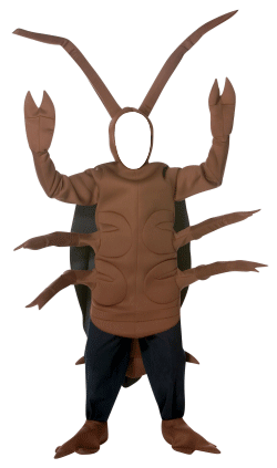 костюм жука