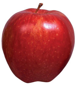 спелое красное яблоко