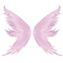 розовые крылья